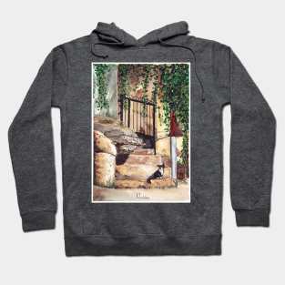 Odessa. Cat in the yard. Ukraine. Hoodie